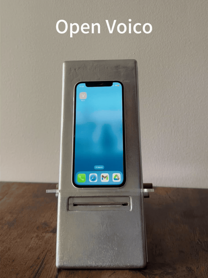 Voico Demo